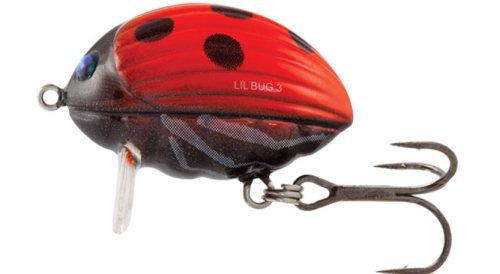 Воблер Salmo Lil Bug F (Воблер Salmo Lil Bug F 03, 30мм, 4,3гр -LB (1051))